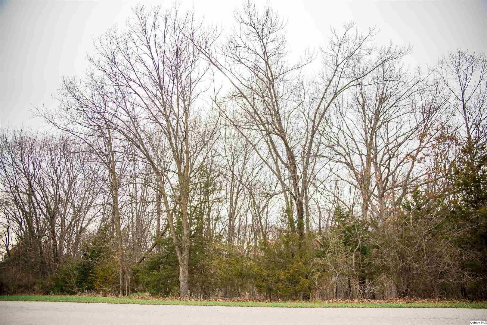 Se Cor Lot 15 Quincy, IL 62305 - Photo 2 of 2 a view of outdoor space