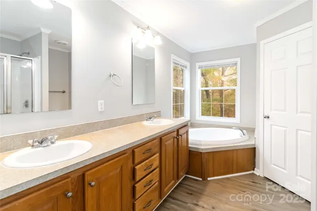 a bathroom with a sink and a bathtub