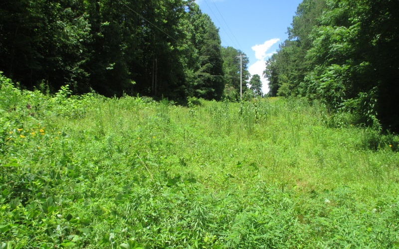 2-ac Sowers Road Blue Ridge, GA 30513 - Photo 1 of 1 Main View