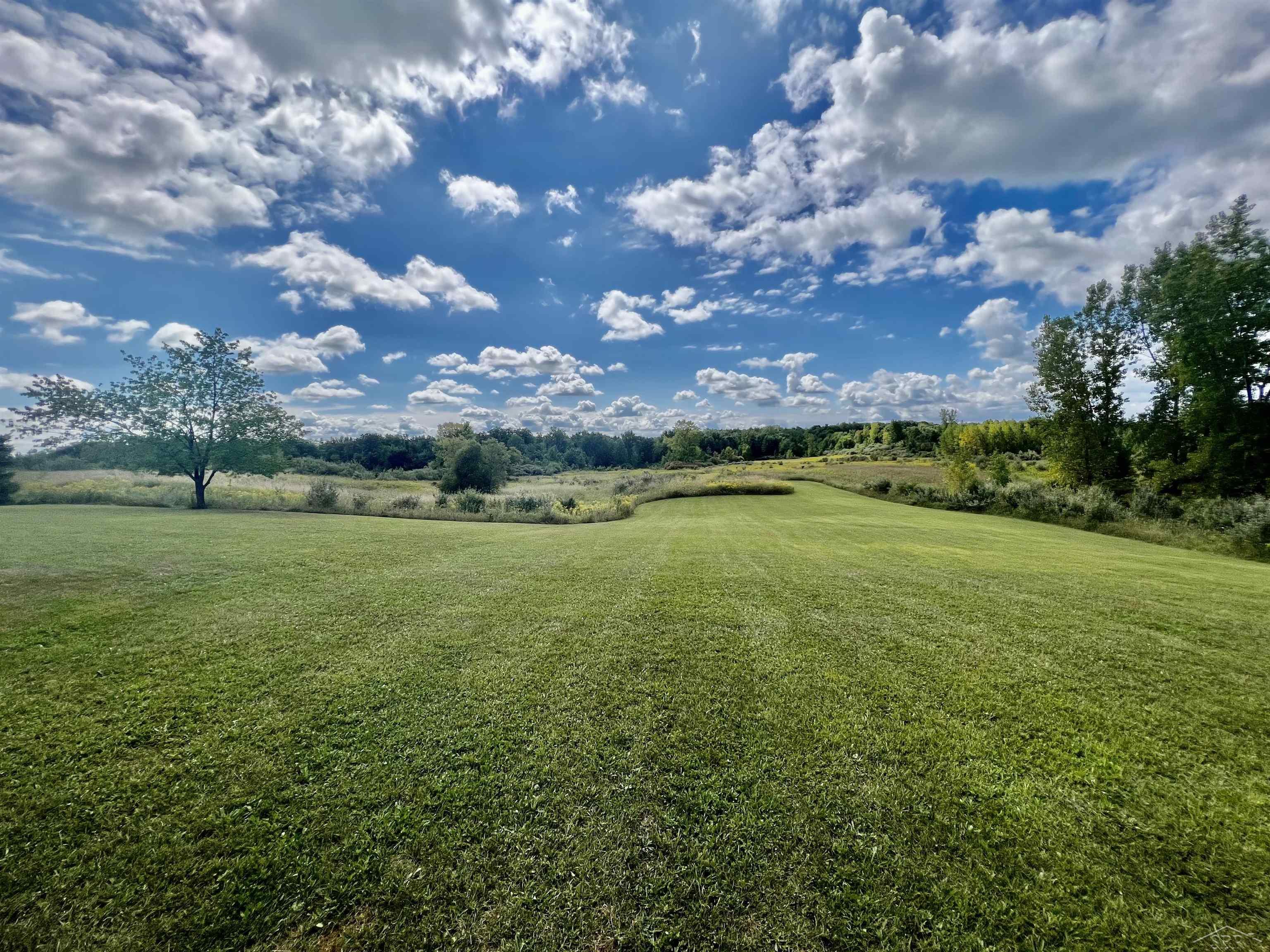 View from back of home