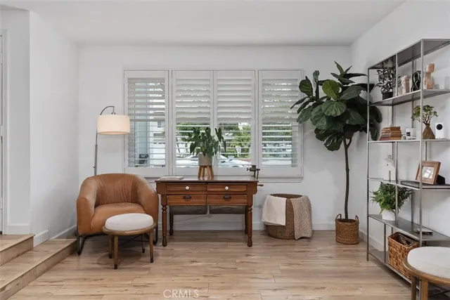 a room with furniture and a potted plant