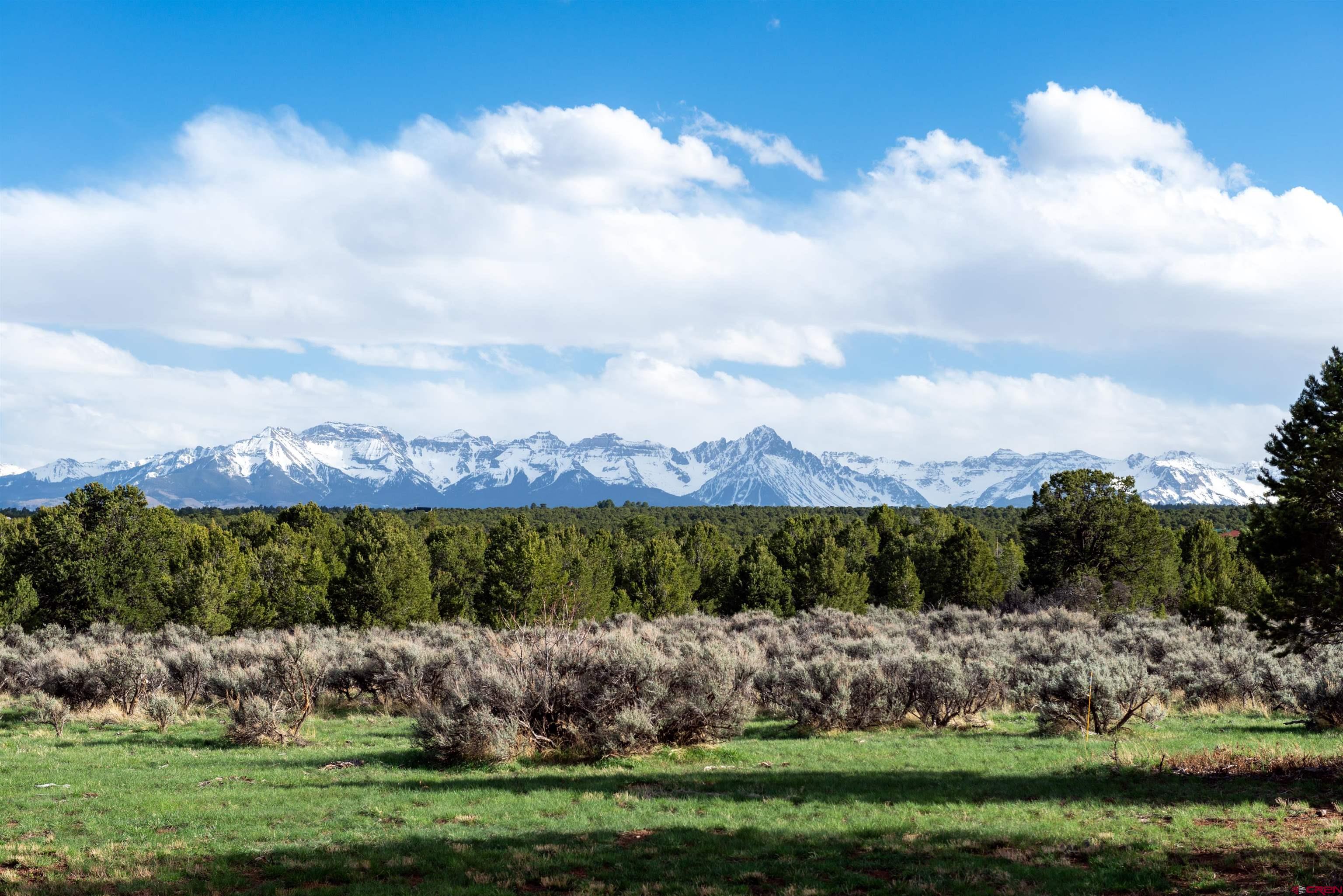 948 Sage Road Montrose, CO 81403 - Photo 35 of 45 a view of a garden with an outdoor seating