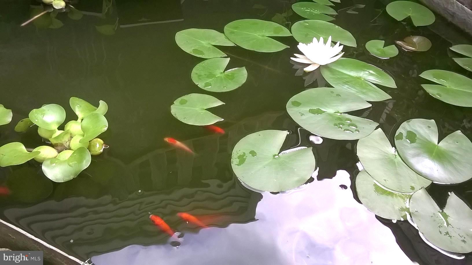 8318 Brookvale Court Springfield, VA 22153 - Photo 21 of 21 a bathroom with a sink mirror and toilet