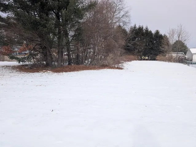 a view of snow covered with trees