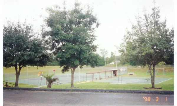 a view of a yard with plants and trees