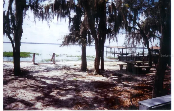 a view of a yard with a tree