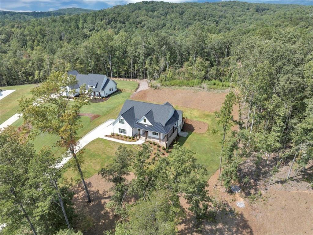 960 Oxford Road Ball Ground, GA 30107 - Photo 52 of 54 an aerial view of a house with a yard