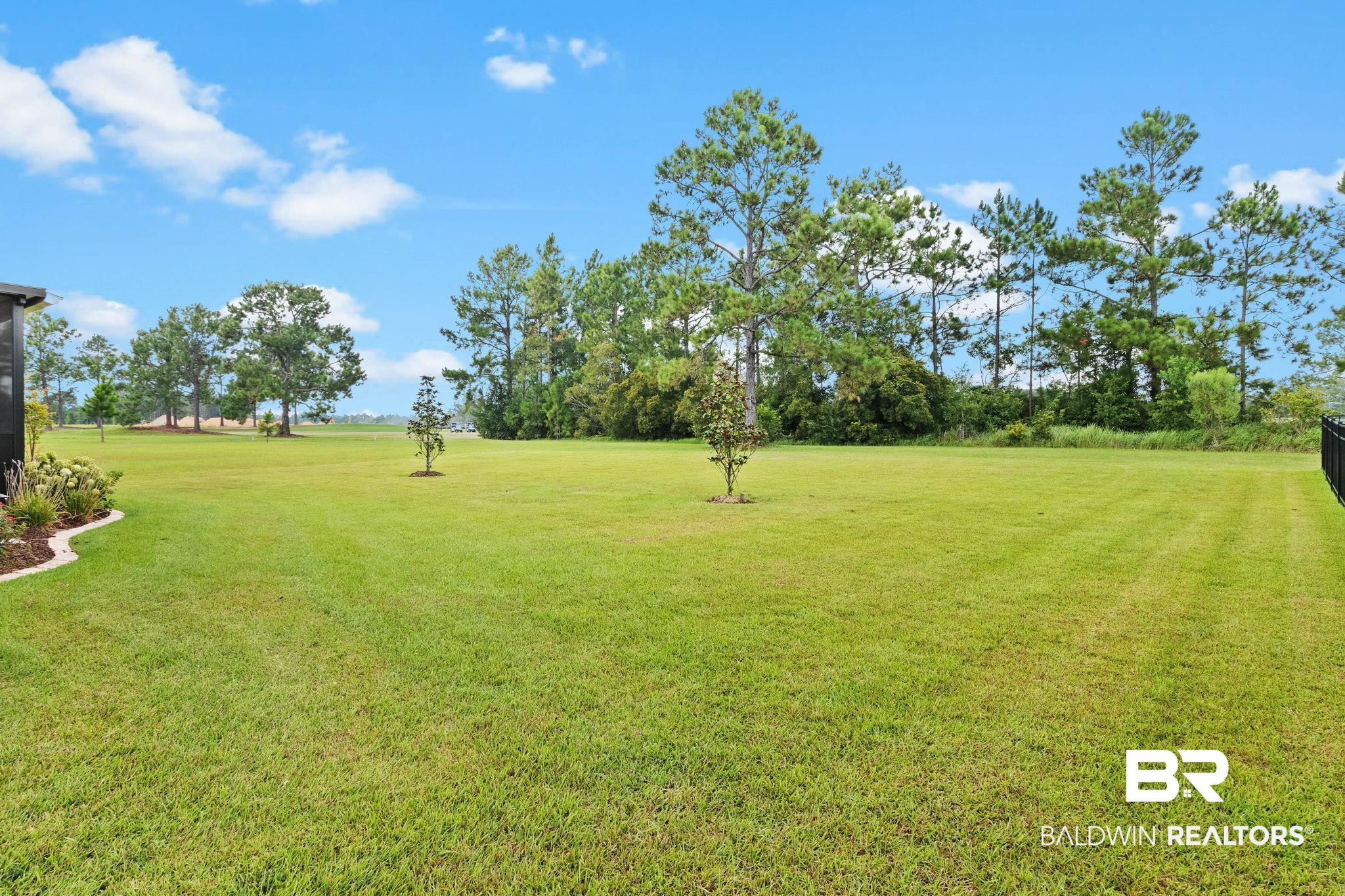 9815 Lakeview Drive Foley, AL 36535 - Photo 75 of 100 View of yard