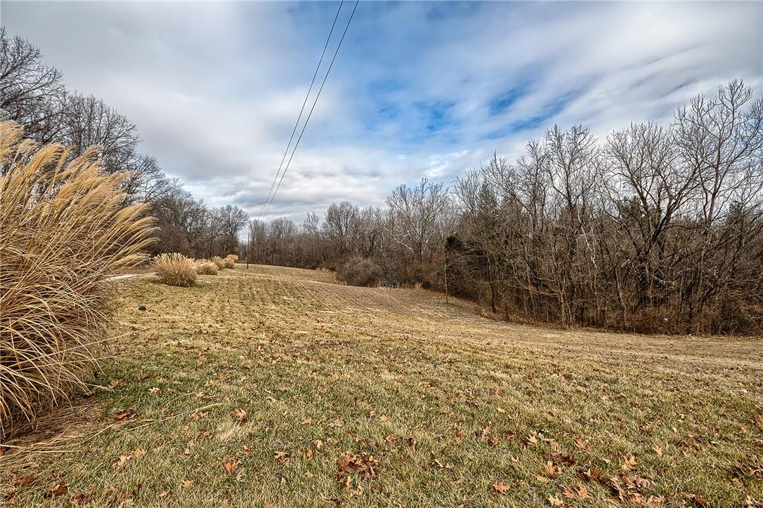 7884 Brickyard Hill Road Worden, IL 62097 - Photo 8 of 41