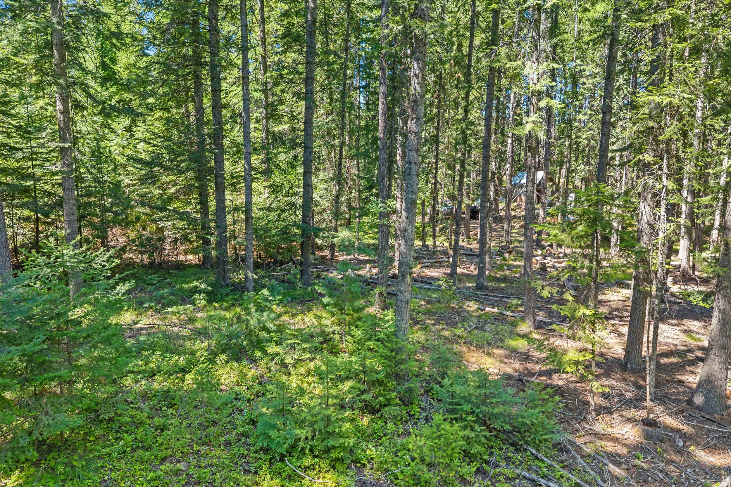 372 Spring Hill Road Newport, WA 99156 - Photo 6 of 24 Gallery Image 6