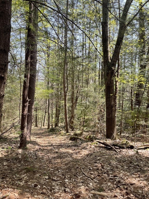 50-10 Main Road Phillipston, MA 01436 - Photo 11 of 12 Gallery Image 11
