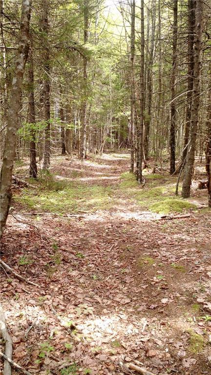 Tbd Stanley Point Road Steuben, ME 04680 - Photo 15 of 26 Trail running from Stanley Point...