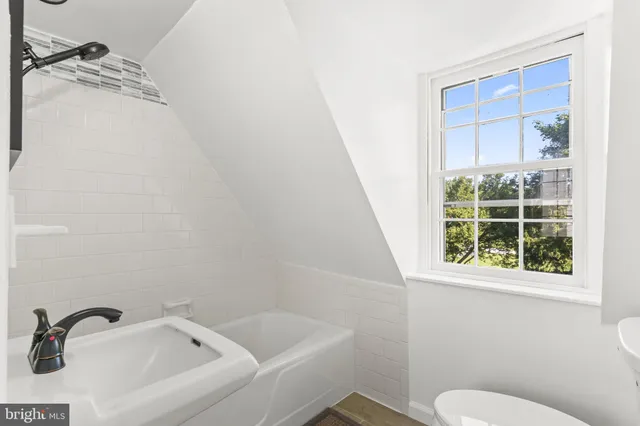 a view of a big yard with plants and large trees