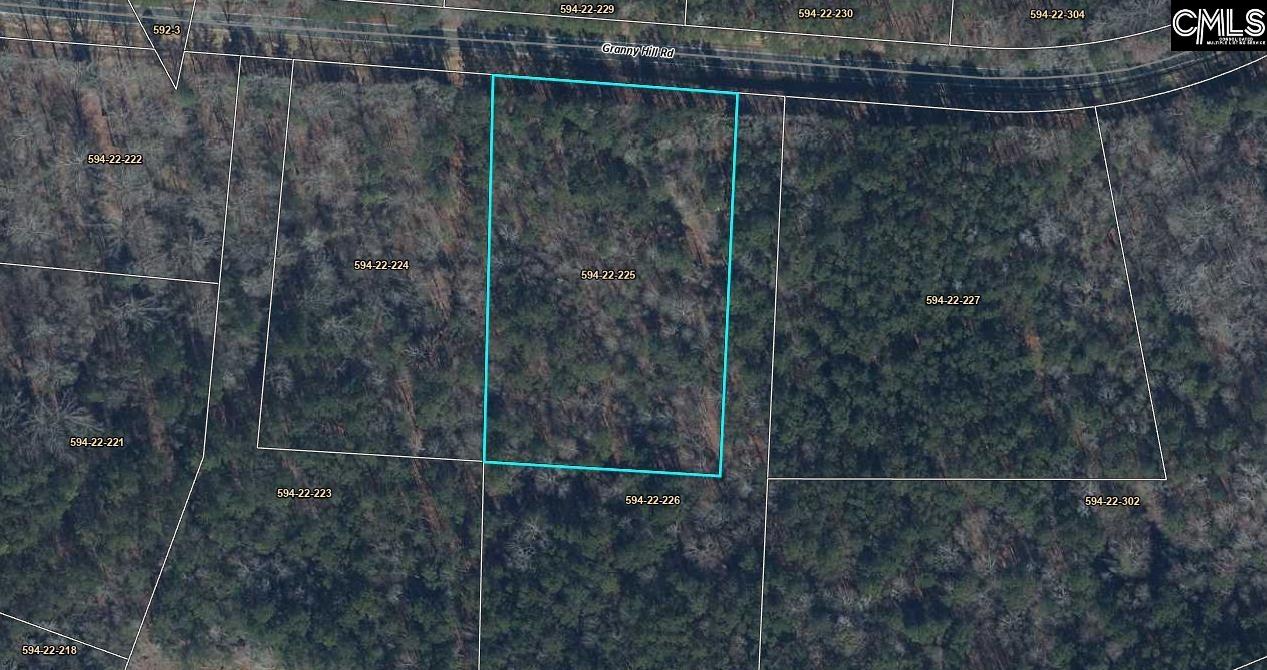 Lot 225 Granny Hill Road Prosperity, SC 29127 - Photo 3 of 17