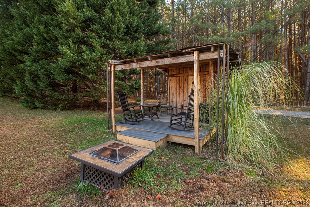 1036 Pendergrass Road Sanford, NC 27330 - Photo 5 of 31 a view of backyard with trees
