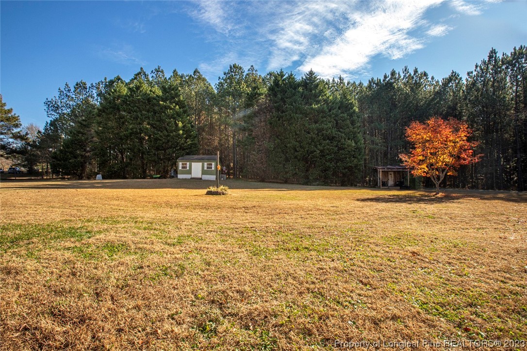 1036 Pendergrass Road Sanford, NC 27330 - Photo 6 of 31 a view of swimming pool with an outdoor space and seating area