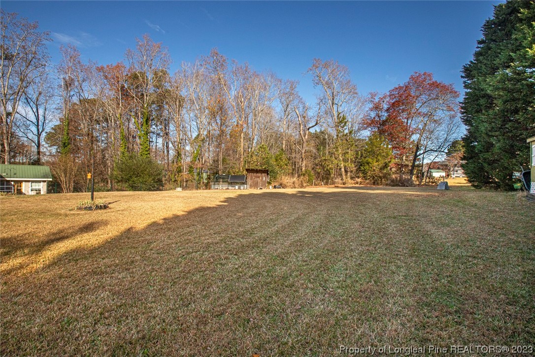 1036 Pendergrass Road Sanford, NC 27330 - Photo 7 of 31 a view of road with trees