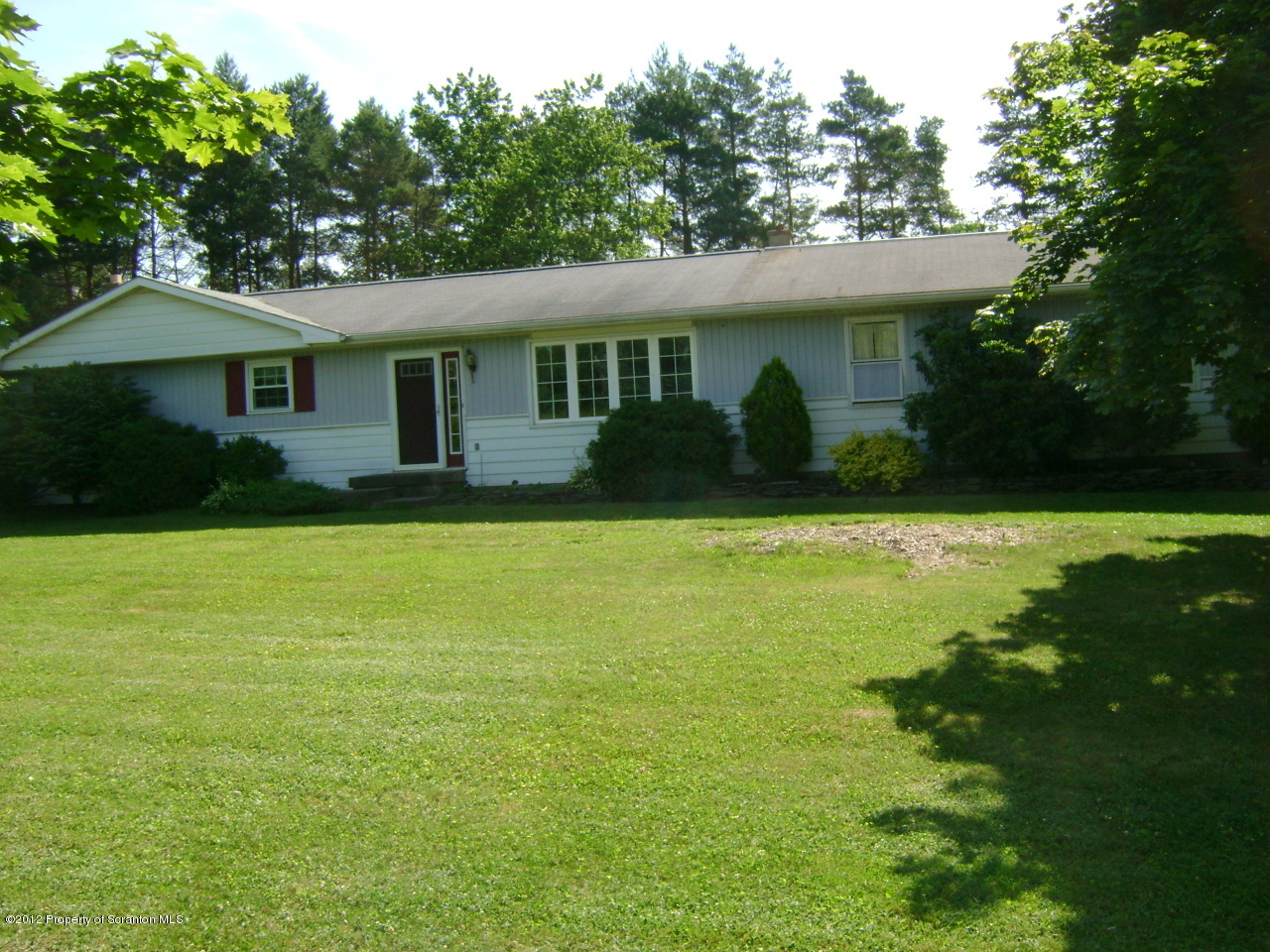 a front view of a house with yard and green space