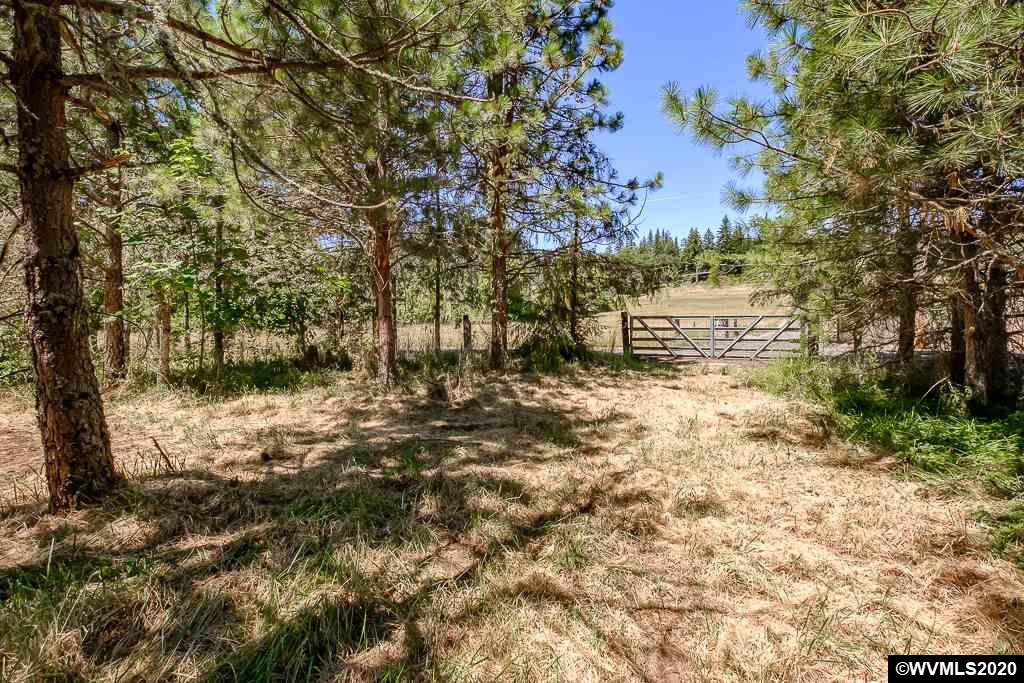 37891 Hungry Hill Road Scio, OR 97374 - Photo 17 of 38