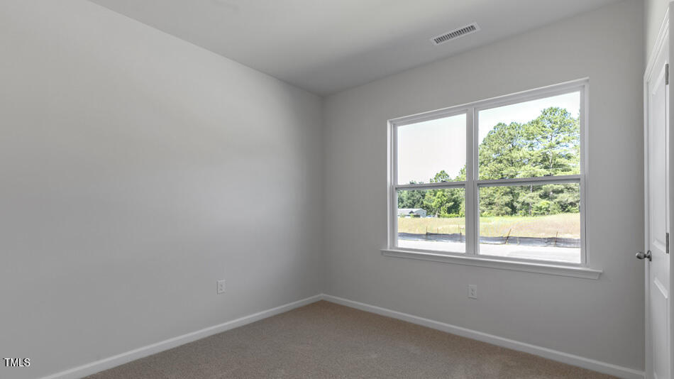 709 Comice Pear Way Willow Spring, NC 27592 - Photo 16 of 30 swift-creek-farm-lot-8-009