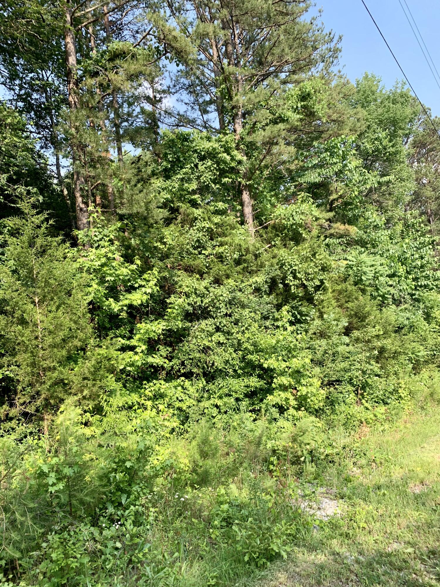 Lot 16 Jack Smith Road Dunlap, TN 37327 - Photo 2 of 5 jsr3