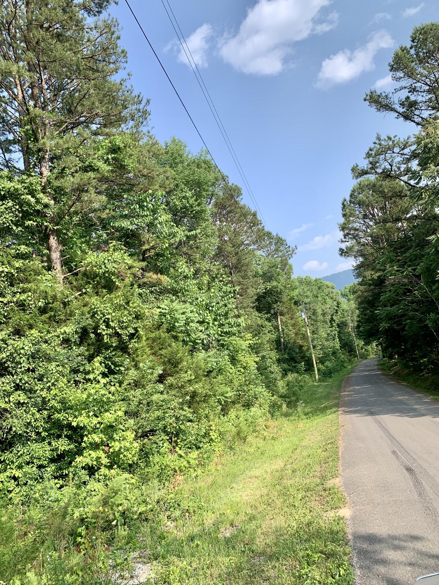 Lot 16 Jack Smith Road Dunlap, TN 37327 - Photo 3 of 5 jsr4