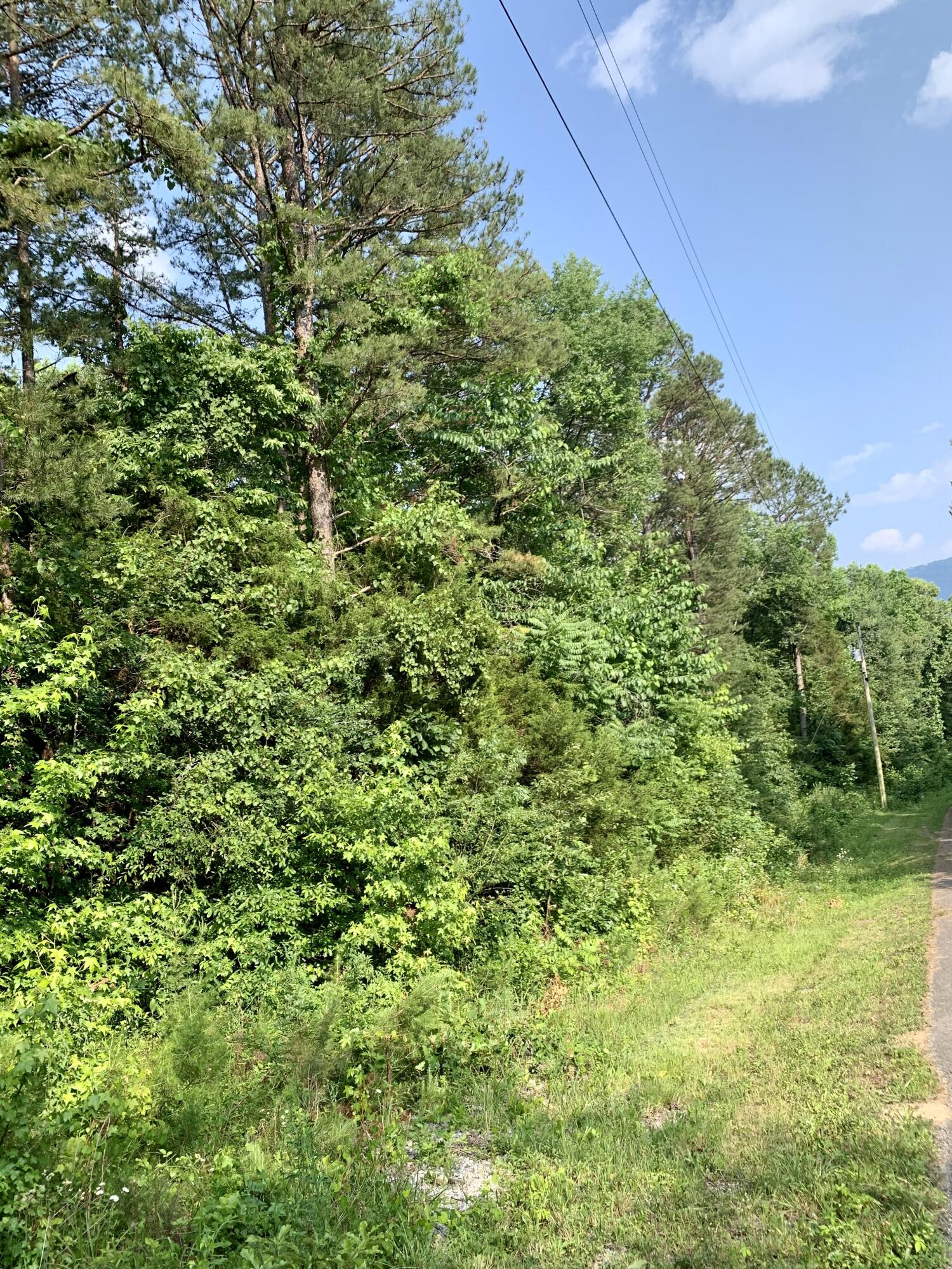 Lot 16 Jack Smith Road Dunlap, TN 37327 - Photo 4 of 5 jsr5