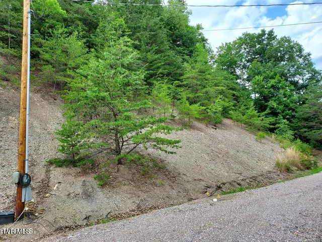 $99,000 | 152 East Greenway Street, Sneedville, TN 37869