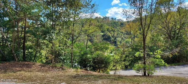 $99,000 | 152 East Greenway Street, Sneedville, TN 37869