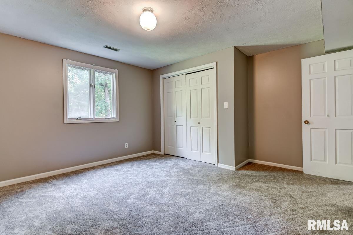 5374 Possum Trot Road Rochester, IL 62563 - Photo 33 of 52