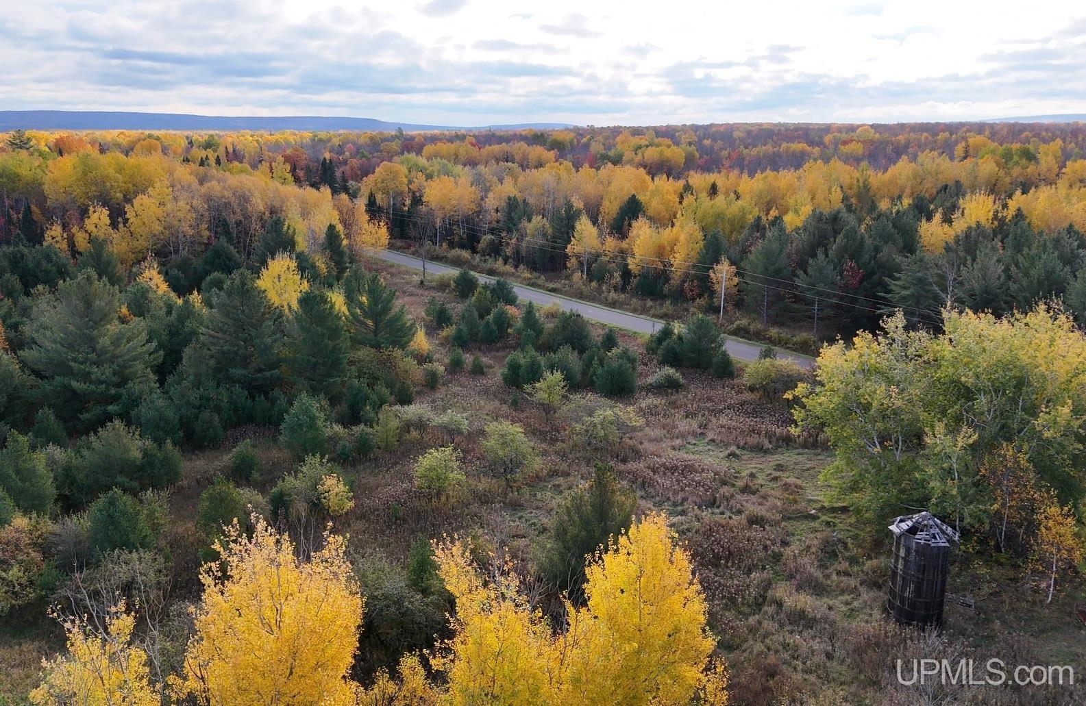 Tbdc20 South Firesteel Road Ontonagon, MI 49953 - Photo 1 of 11