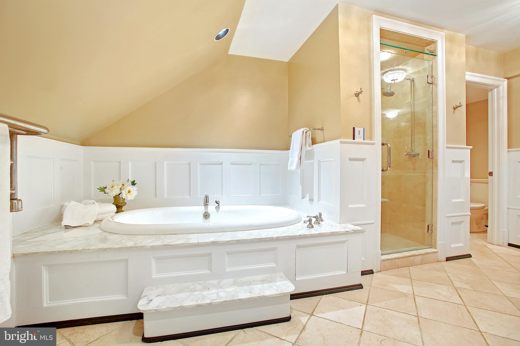 838 Childs Point Road Annapolis, MD 21401 - Photo 39 of 85 Master-bath oversized soaking tub / Steam shower