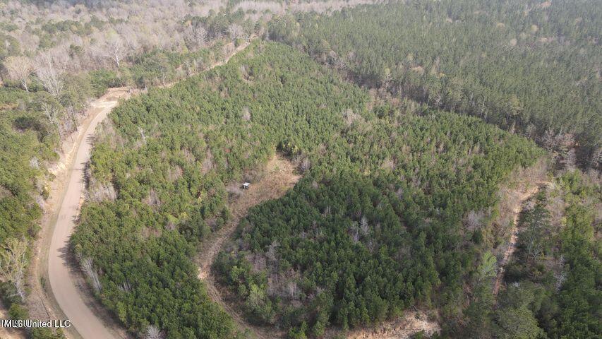 Honeysucker Road Camden, MS 39045 - Photo 1 of 3 20230313202318459774000000-o