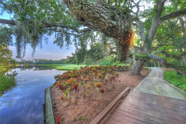 a view of a lake with a yard and large trees