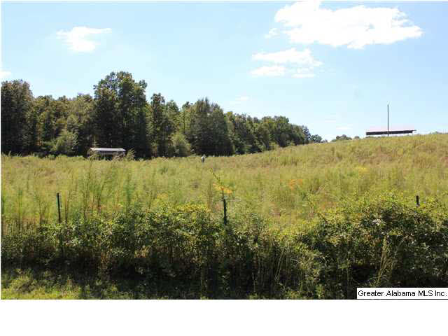 13084 Jackson Trace Road, Unit 94 83 AC Lincoln, AL 35096 - Photo 13 of 32