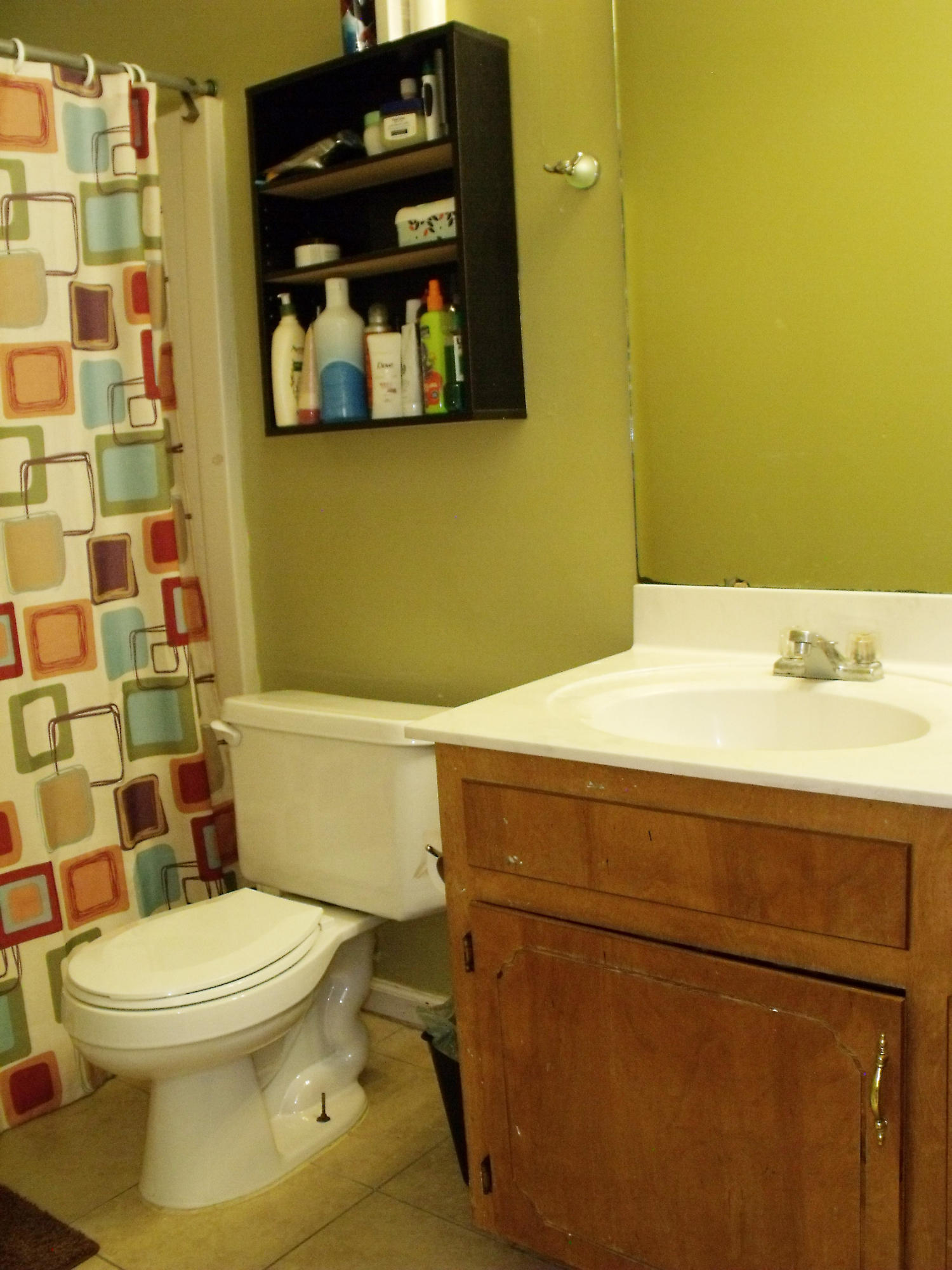 171 Two Hitch Road Goose Creek, SC 29445 - Photo 15 of 25 Master Bath
