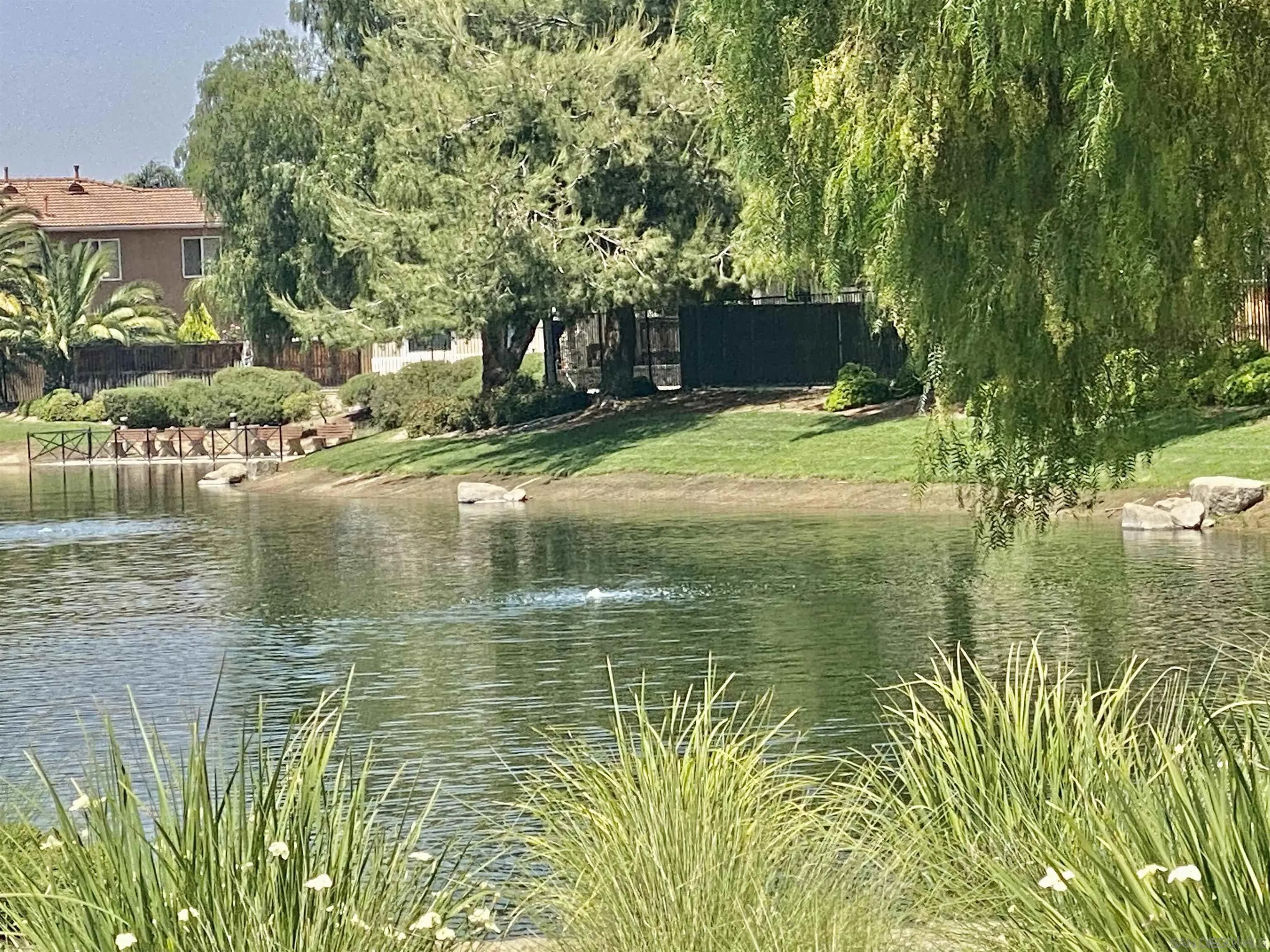 1301 Bee Balm Road Hemet, CA 92545 - Photo 11 of 17 a view of lake view