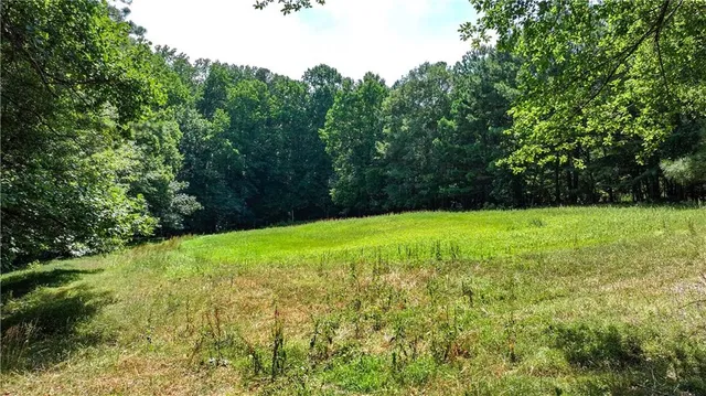a view of a garden with a tree