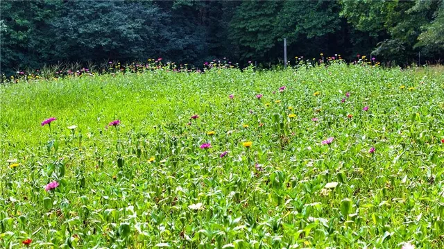 an aerial view of residential house with outdoor space and trees all around