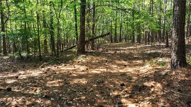a view of a backyard with furniture and a fire pit