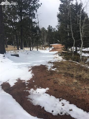 416 Alpine View Road Divide, CO 80814 - Photo 19 of 36 Gallery Image 19