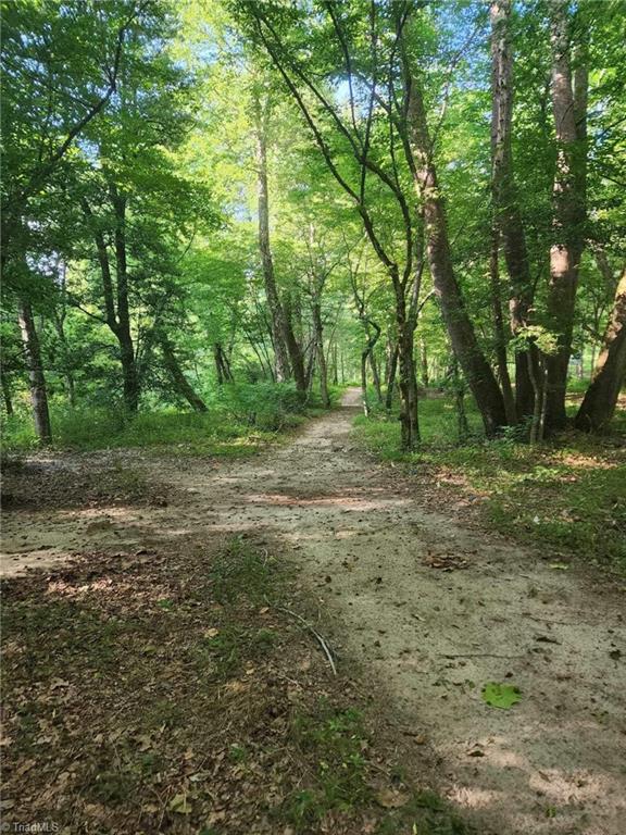 4078 Red Brush Road Mount Airy, NC 27030 - Photo 6 of 22 Gallery Image 6