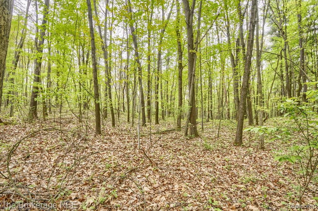 12445 Shaffer Road Davisburg, MI 48350 - Photo 18 of 67