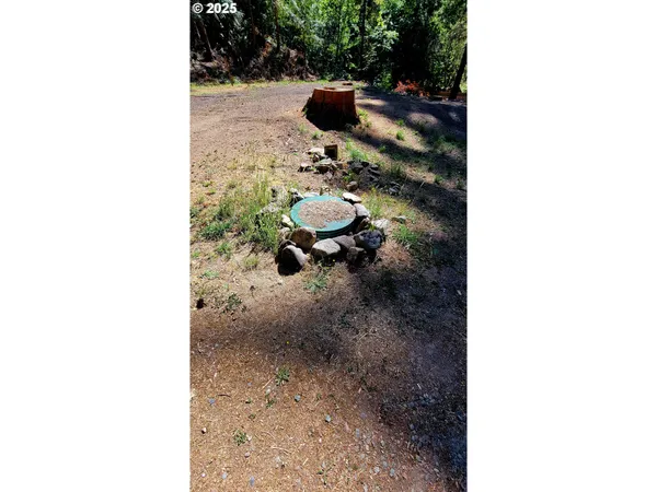 a picture of a park