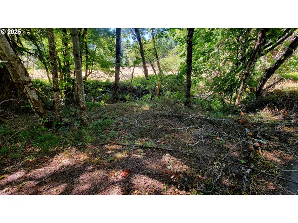a black and white photo of a house