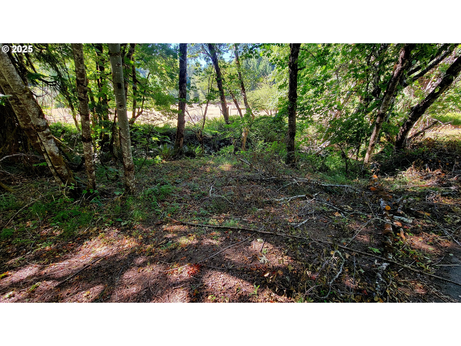 1097 Lees Creek Road Myrtle Creek, OR 97457 - Photo 38 of 41 a picture of a park