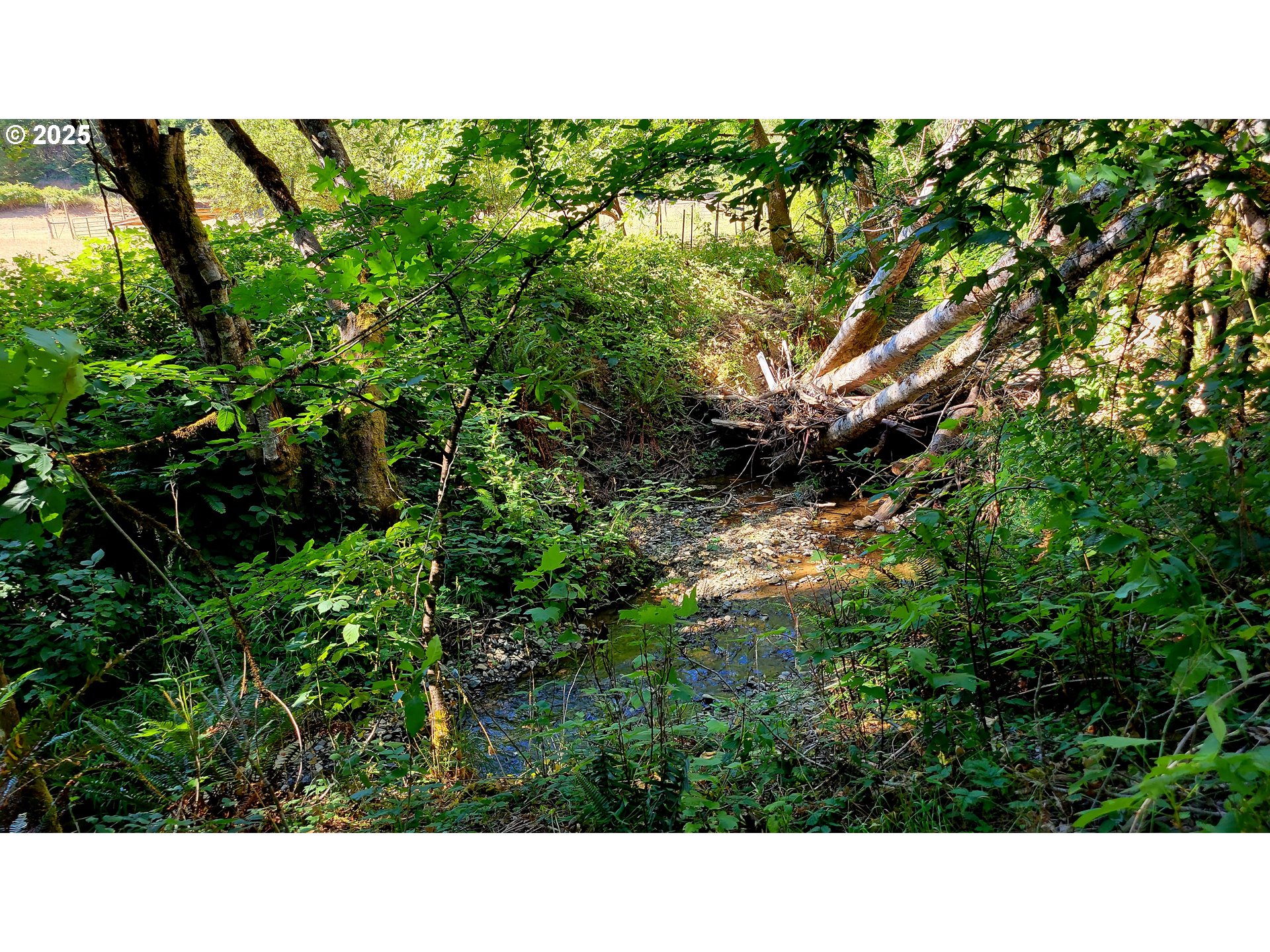 1097 Lees Creek Road Myrtle Creek, OR 97457 - Photo 39 of 41 a black and white photo of a house