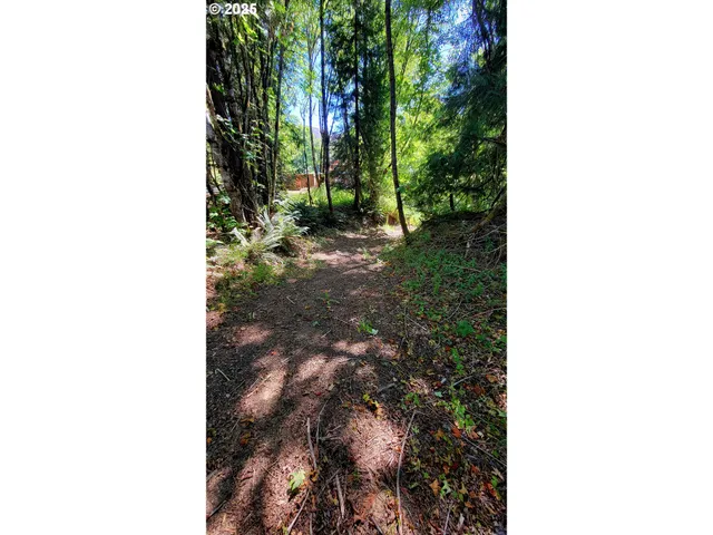 $375,000 | 1097 Lees Creek Road, Myrtle Creek, OR 97457