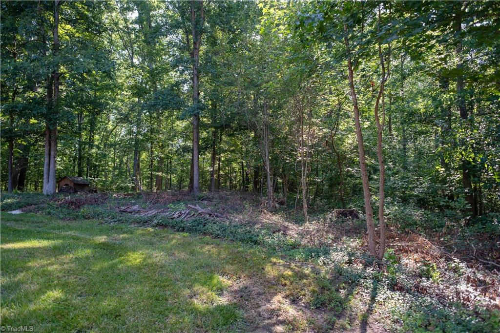 5313 Adrian Road Jamestown, NC 27282 - Photo 3 of 24 Gallery Image 3
