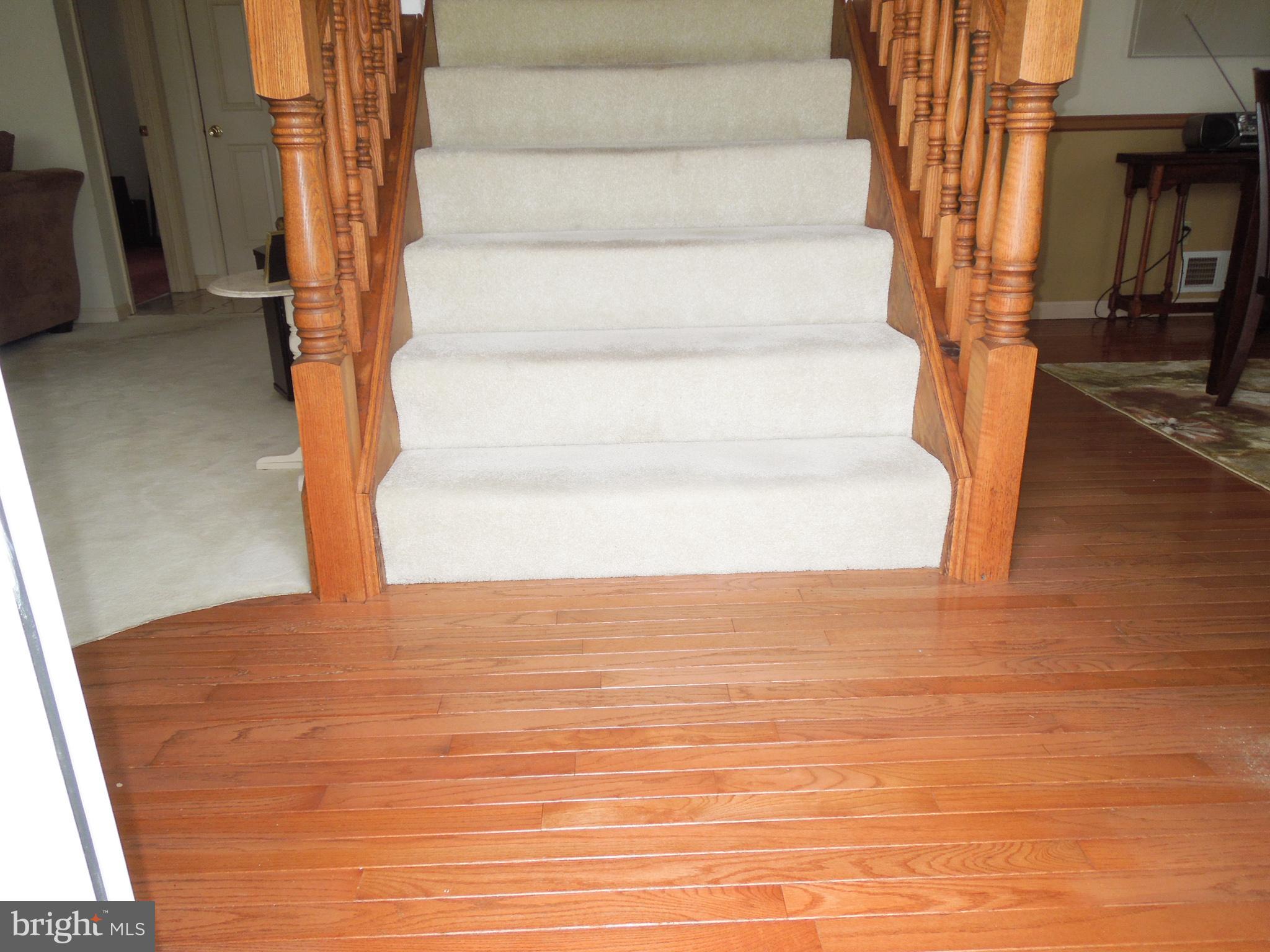 7 Meade Avenue Hanover, PA 17331 - Photo 4 of 53 Gallery Image 4